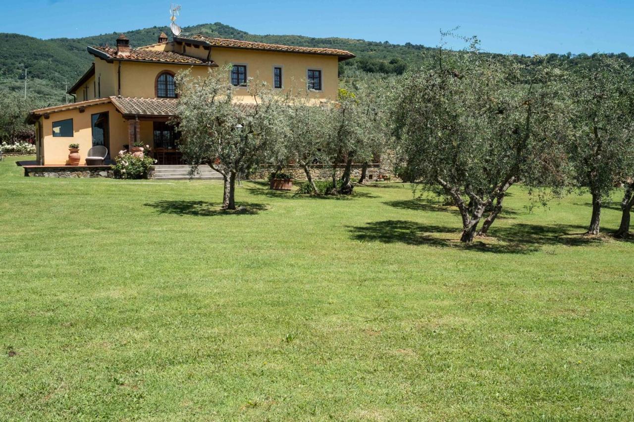 La Casa Delle Rose Villa Terranuova Bracciolini Eksteriør billede