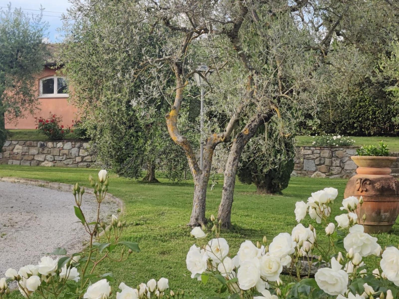 La Casa Delle Rose Villa Terranuova Bracciolini Eksteriør billede